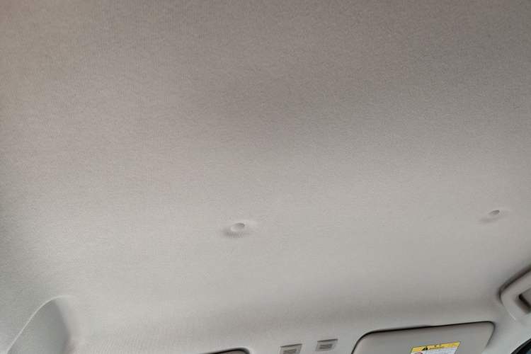 Used ORA Black Cat 2021 301 km Basic Version Headliner