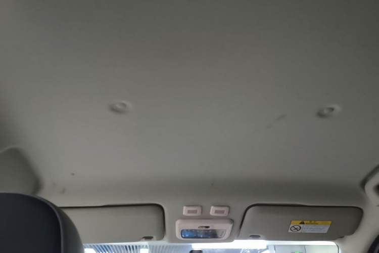 Used ORA Black Cat 2021 301km Cute Pet Edition Headliner
