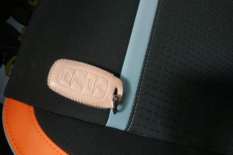 Used ORA Black Cat 2021 351 km Business Edition Interior 1