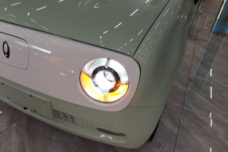 Used ORA Black Cat 2021 351 km Standard Version Left Front Headlight