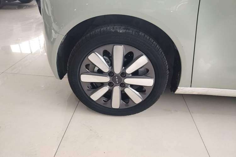 Used ORA Black Cat 2021 351 km Standard Version Left Front Wheel Hub