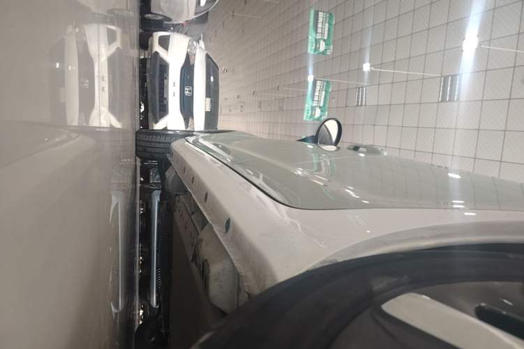Used ORA Black Cat 2021 351 km Standard Version Left Side Sill