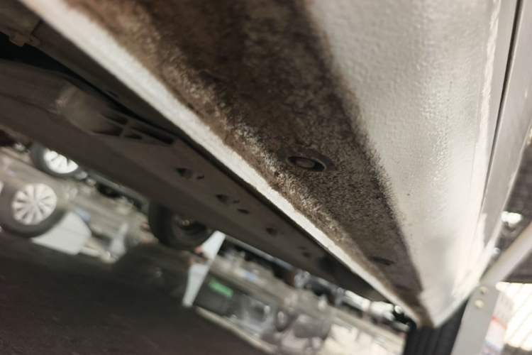 Used ORA Black Cat 2021 351 km Standard Version Left Side Sill
