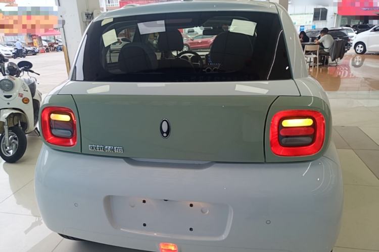 Used ORA Black Cat 2021 301km Cute Pet Edition Rear