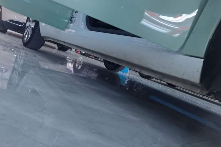 Used ORA Black Cat 2021 351 km Standard Version Right Side Sill