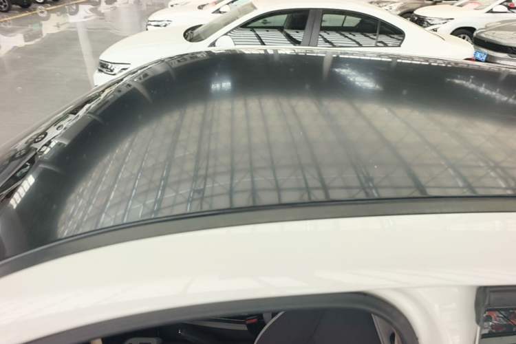 Used ORA Black Cat 2021 351 km Standard Version Roof