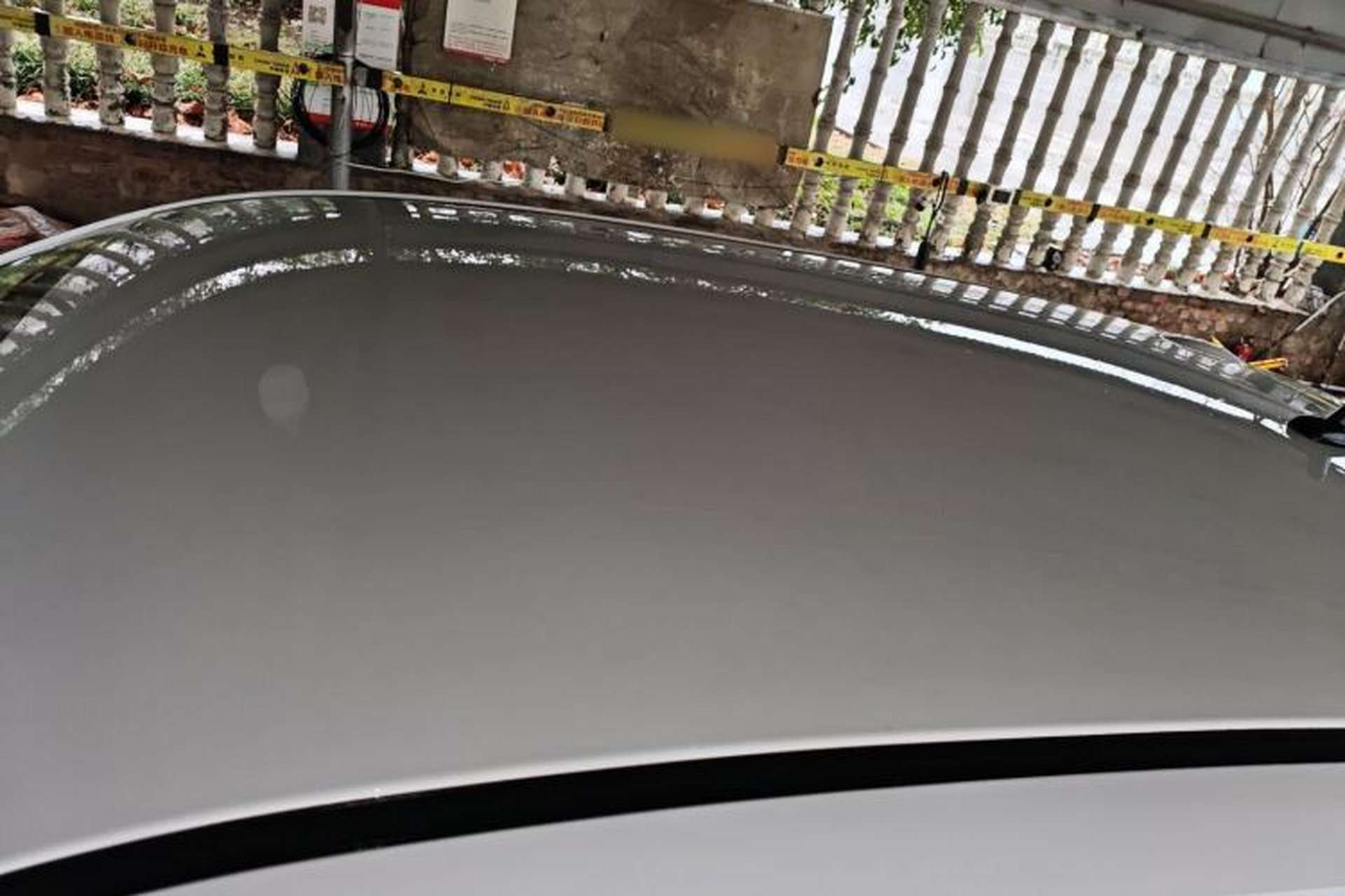 Used ORA Black Cat 2021 301 km Basic Version Roof
