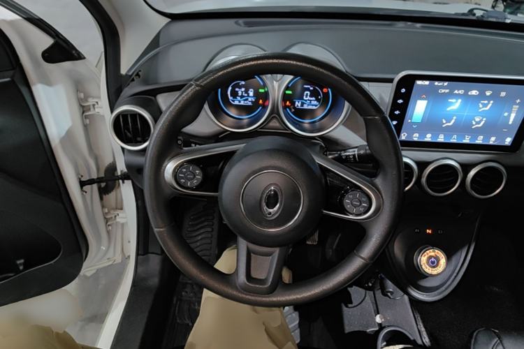Used ORA Black Cat 2021 301 km Basic Version Steering Wheel