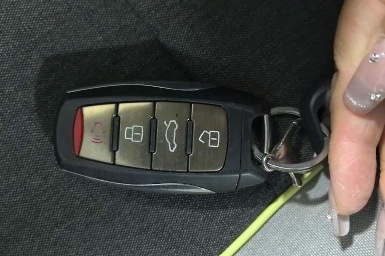 Used ORA Black Cat 2021 301 km Basic Version Vehicle Key