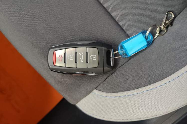 Used ORA Black Cat 2021 301 km Basic Version Vehicle Key