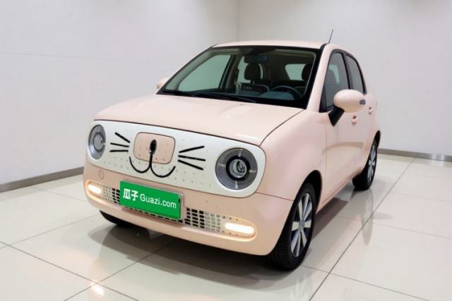 ORA Black Cat 2021 351 km Luxury Version usado