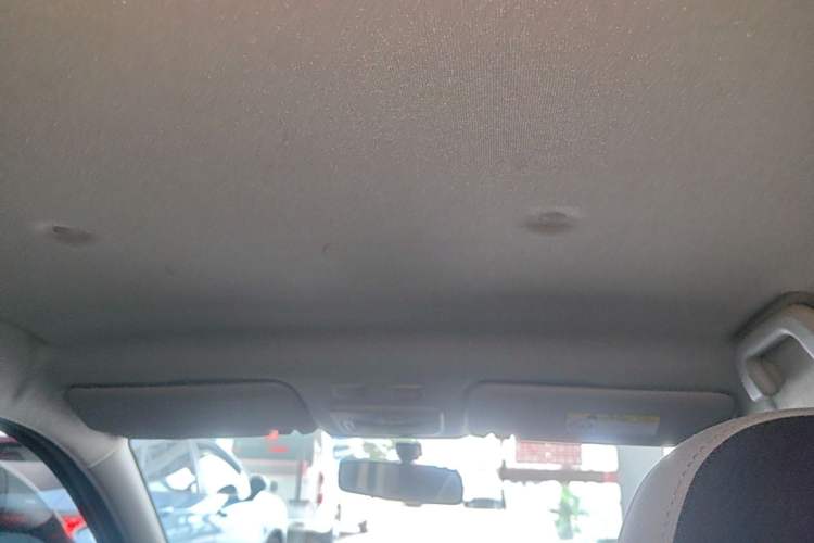 Used ORA Black Cat 2021 301 km Basic Version Headliner