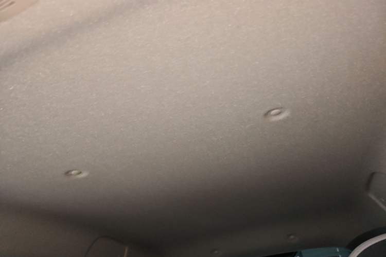 Used ORA Black Cat 2021 301 km Basic Version Headliner