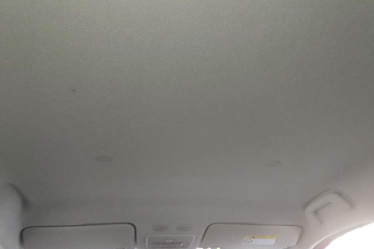 Used ORA Black Cat 2021 351 km Standard Version Headliner