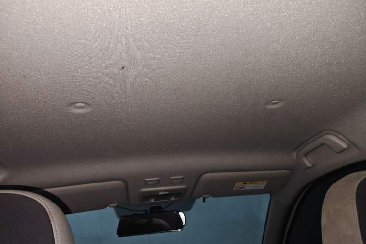 Used ORA Black Cat 2021 301km Cute Pet Edition Headliner