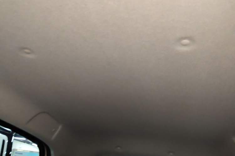 Used ORA Black Cat 2021 301km Cute Pet Edition Headliner