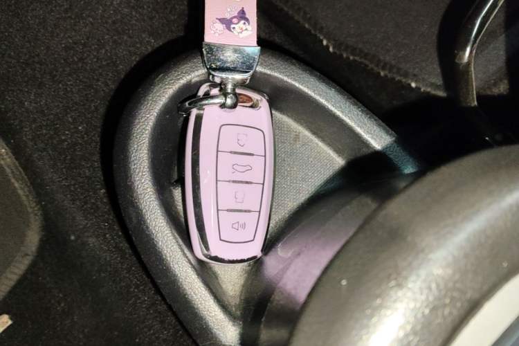 Used ORA Black Cat 2021 301km Cute Pet Edition Interior 1