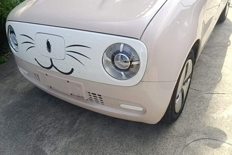 Used ORA Black Cat 2021 301km Cute Pet Edition Left Front Headlight