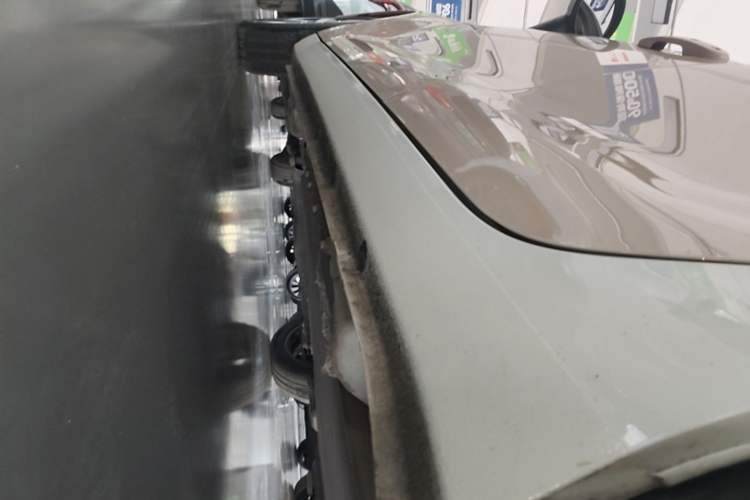 Used ORA Black Cat 2021 351 km Standard Version Left Side Sill