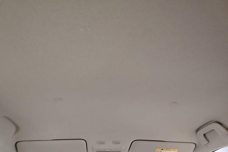 Used ORA Black Cat 2021 351 km Luxury Version Headliner