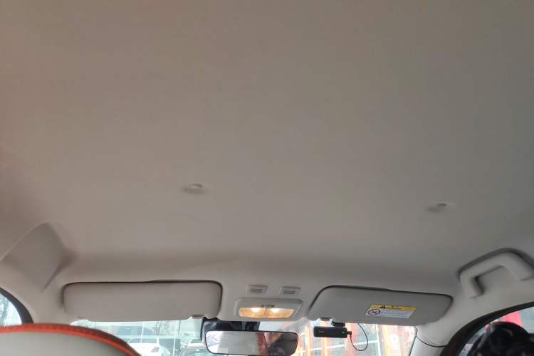 Used ORA Black Cat 2021 351 km Luxury Version Headliner