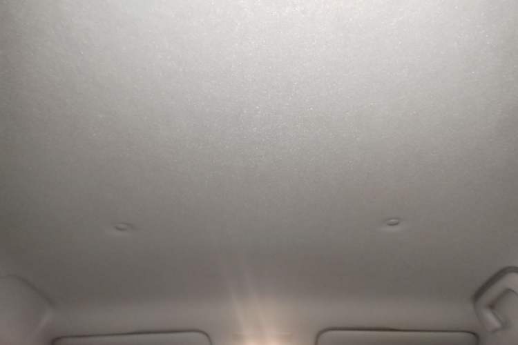 Used ORA Black Cat 2021 351 km Luxury Version Headliner