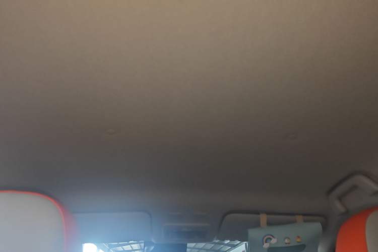 Used ORA Black Cat 2021 351 km Luxury Version Headliner