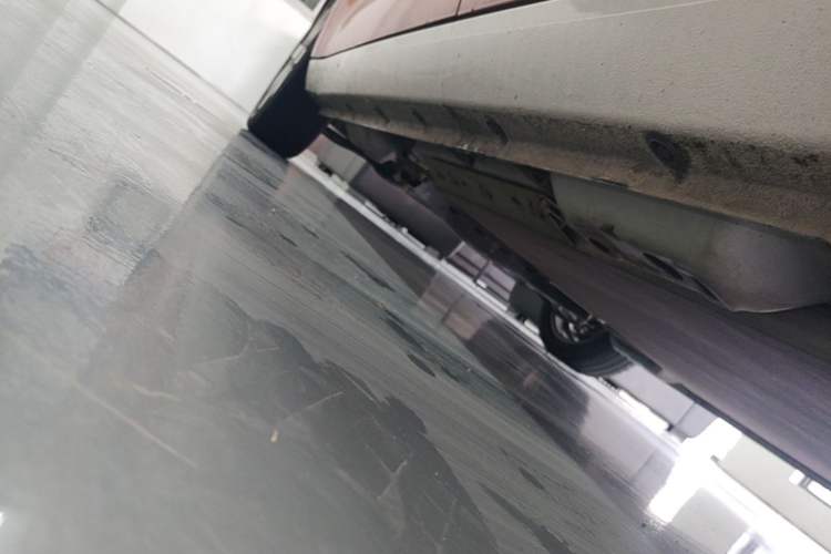 Used ORA Black Cat 2021 351 km Luxury Version Left Side Sill