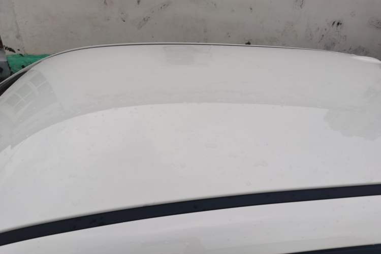 Used ORA Black Cat 2021 351 km Luxury Version Roof