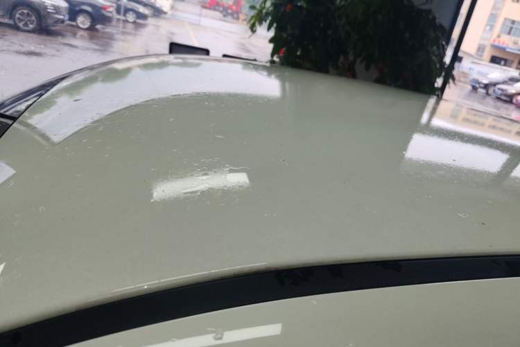 Used ORA Black Cat 2021 351 km Luxury Version Roof