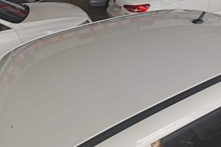 Used ORA Black Cat 2021 351 km Luxury Version Roof
