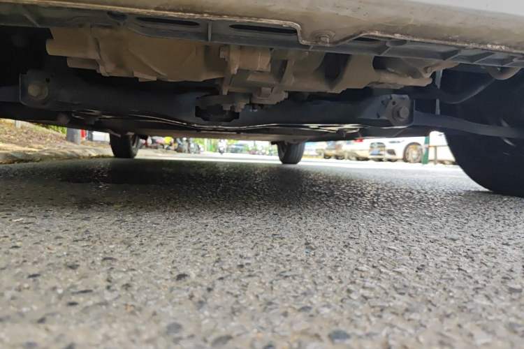 Used ORA Black Cat 2021 301 km Basic Version Chassis Front
