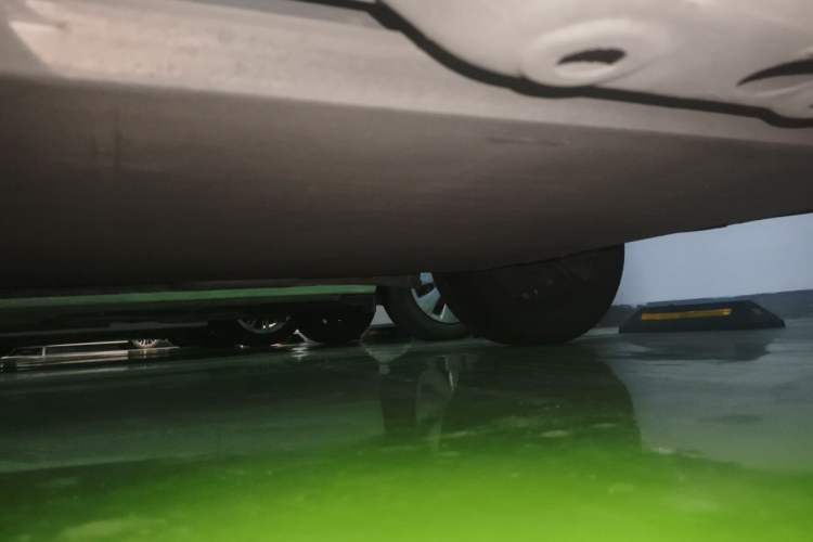 Used ORA Black Cat 2021 301 km Basic Version Chassis Rear Left