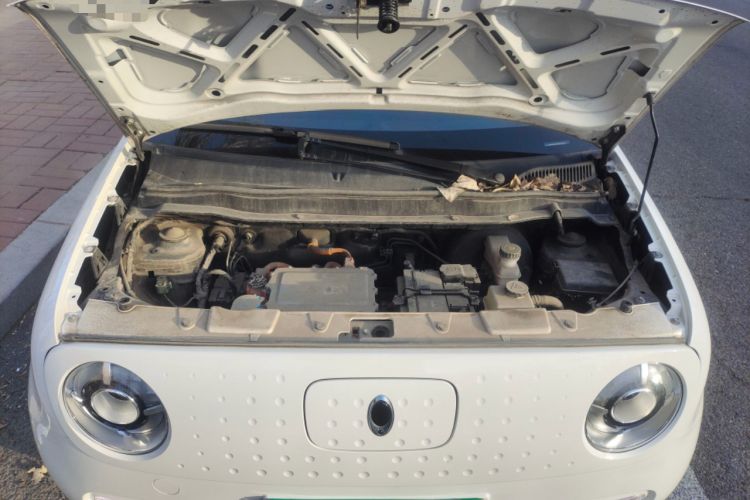 Used ORA Black Cat 2021 351 km Standard Version Engine Bay