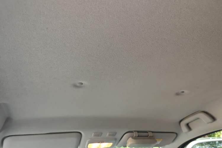Used ORA Black Cat 2021 301 km Basic Version Headliner