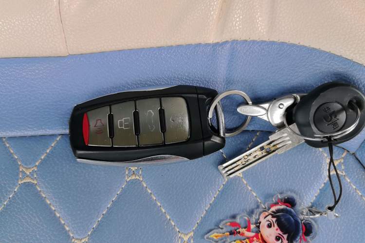 Used ORA Black Cat 2021 351 km Luxury Version Vehicle Key