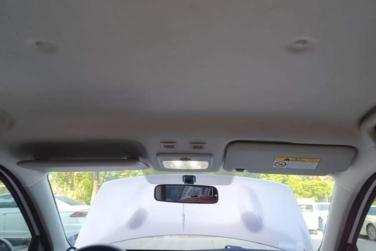Used ORA Black Cat 2021 301km Cute Pet Edition Headliner