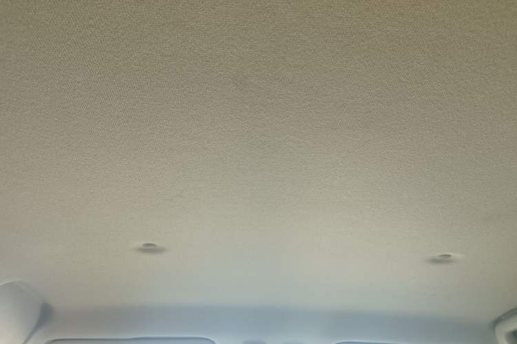 Used ORA Black Cat 2021 351 km Standard Version Headliner