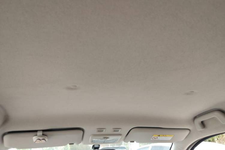 Used ORA Black Cat 2021 301 km Basic Version Headliner