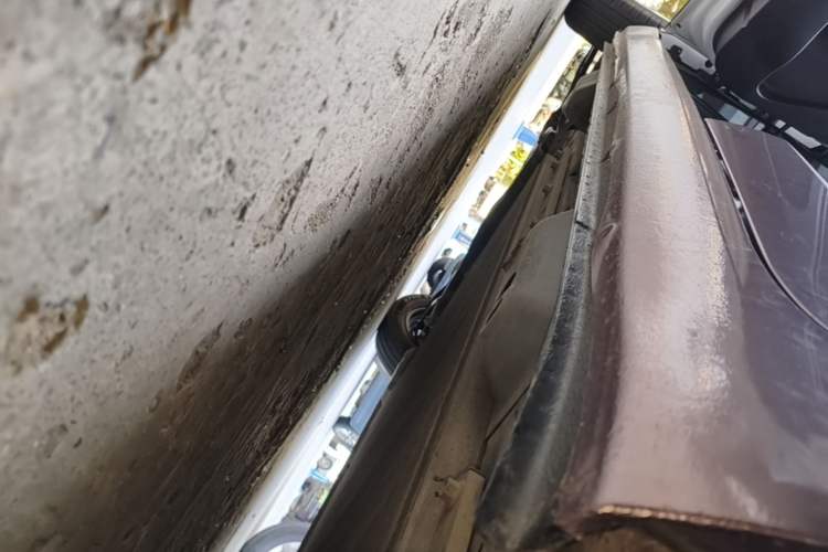 Used ORA Black Cat 2021 301km Cute Pet Edition Left Side Sill