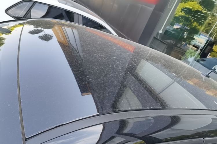 Used ORA Black Cat 2021 301km Cute Pet Edition Roof