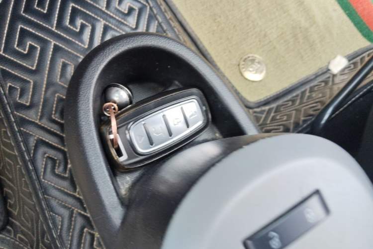 Used ORA Black Cat 2021 301 km Basic Version Vehicle Key