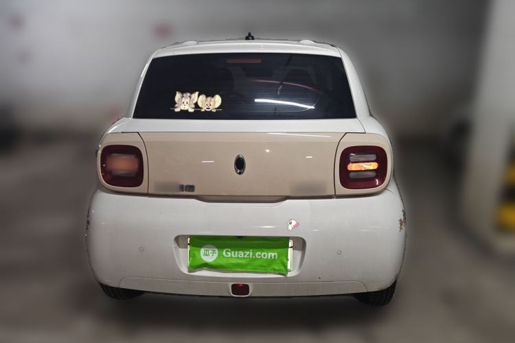 Used ORA Black Cat 2021 301km Cute Pet Edition Rear