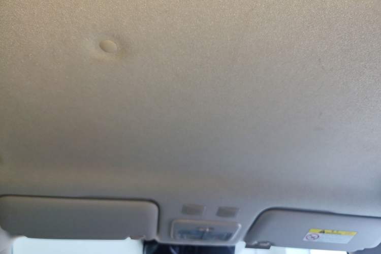 Used ORA Black Cat 2021 405 km Long-Range Version Headliner