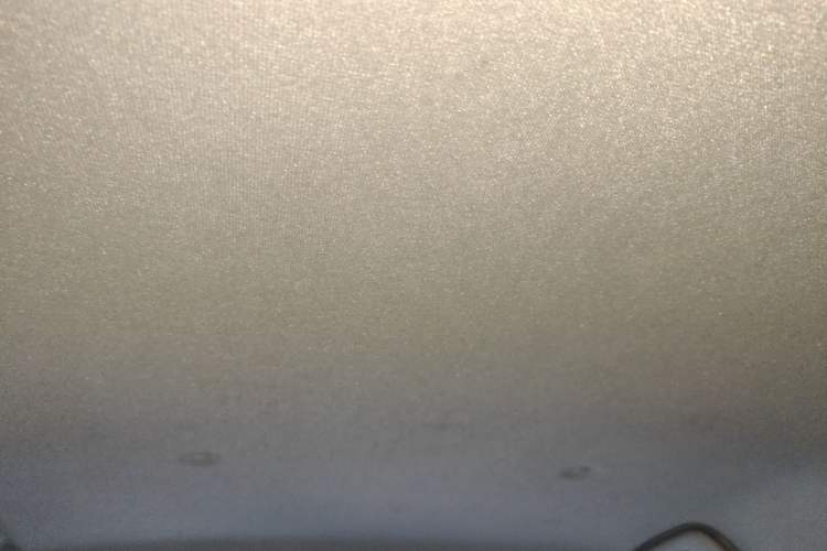 Used ORA Black Cat 2021 351 km Luxury Version Headliner