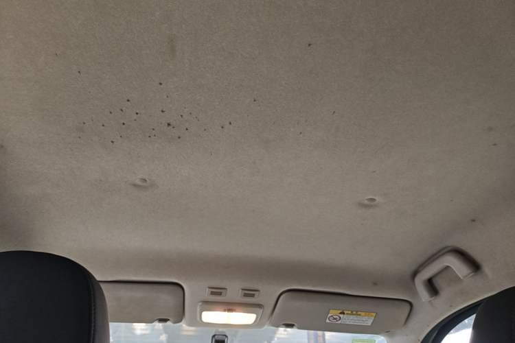 Used ORA Black Cat 2021 301 km Basic Version Headliner