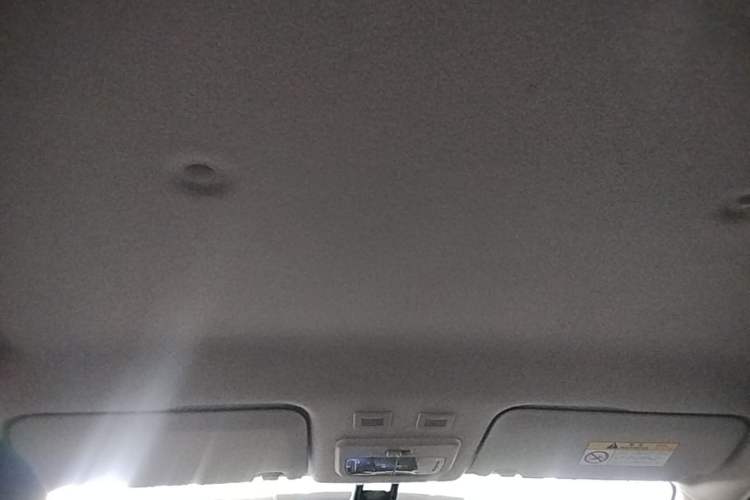 Used ORA Black Cat 2021 301 km Basic Version Headliner