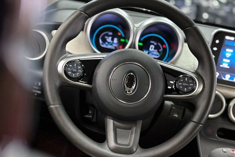 Used ORA Black Cat 2021 351 km Luxury Version Interior 10