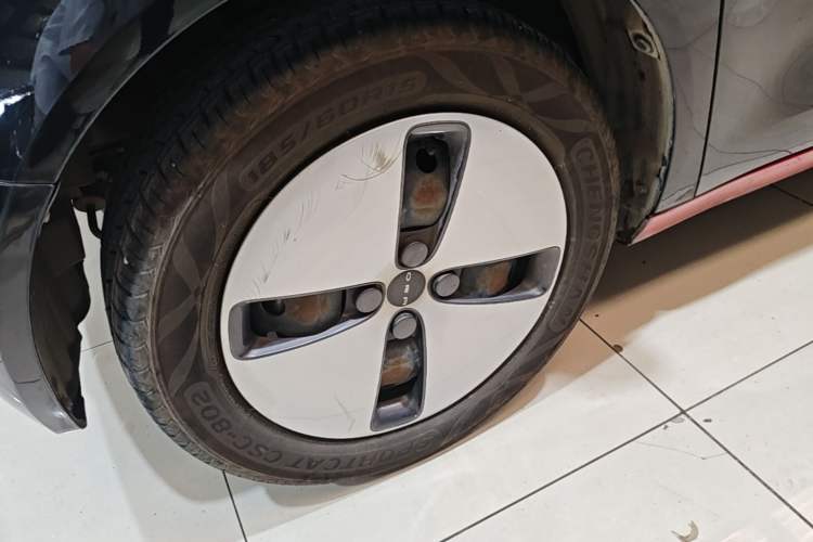 Used ORA Black Cat 2021 301 km Basic Version Left Front Wheel Hub