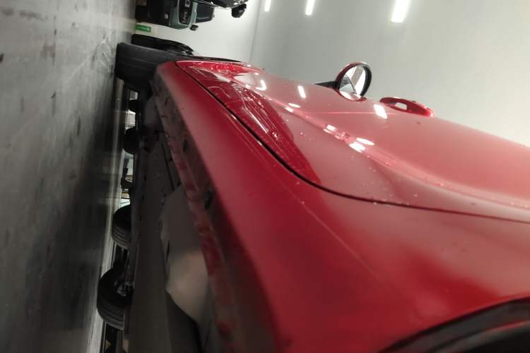 Used ORA Black Cat 2021 351 km Luxury Version Left Side Sill